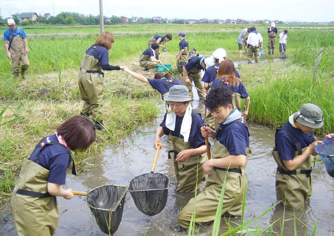 胴長を着た参加者たちが、水田の中で網を使って生き物を採集している様子