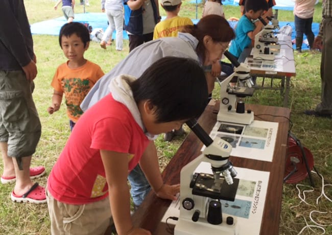 テントの下で、子どもたちが顕微鏡を使い、水の中の生物を観察している様子