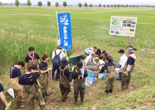 水辺で多くの参加者が集まり、「お魚ふやし隊」の旗のもとで活動している様子