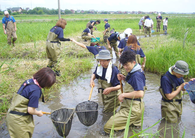 胴長を着た参加者たちが、水田の中で網を使って生き物を採集している様子