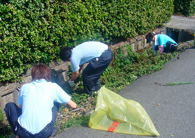 生け垣沿いで社員が雑草を抜き取り、清掃活動をしている様子