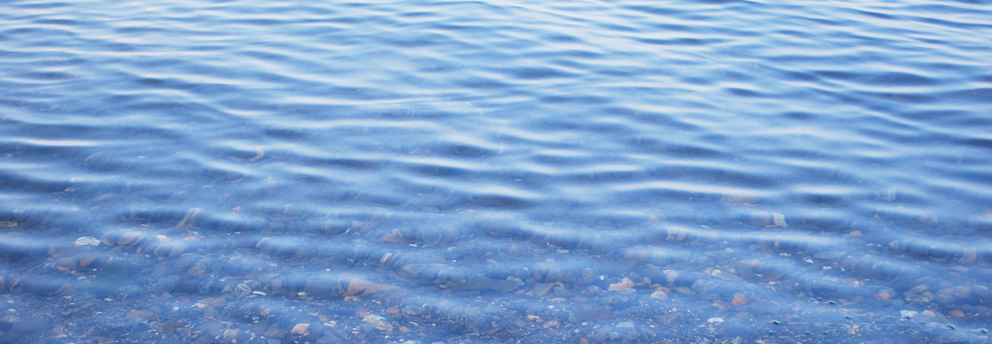 サステナビリティ/SDGsと基本方針